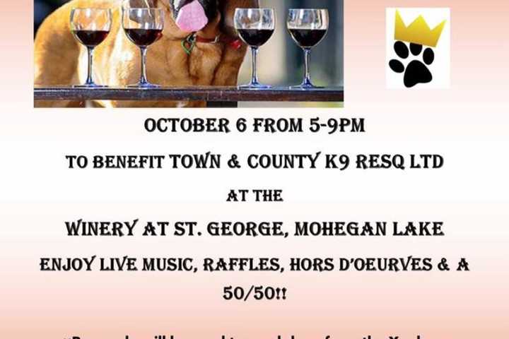 St. George's Winery Hosts Animal Shelter Benefit