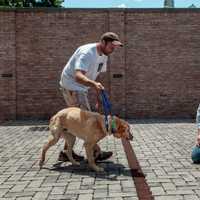 <p>Wally meets his adoptive family.</p>