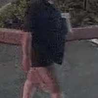Norwalk Police Seek Man Connected To Anti-Muslim Flyers Left On Cars