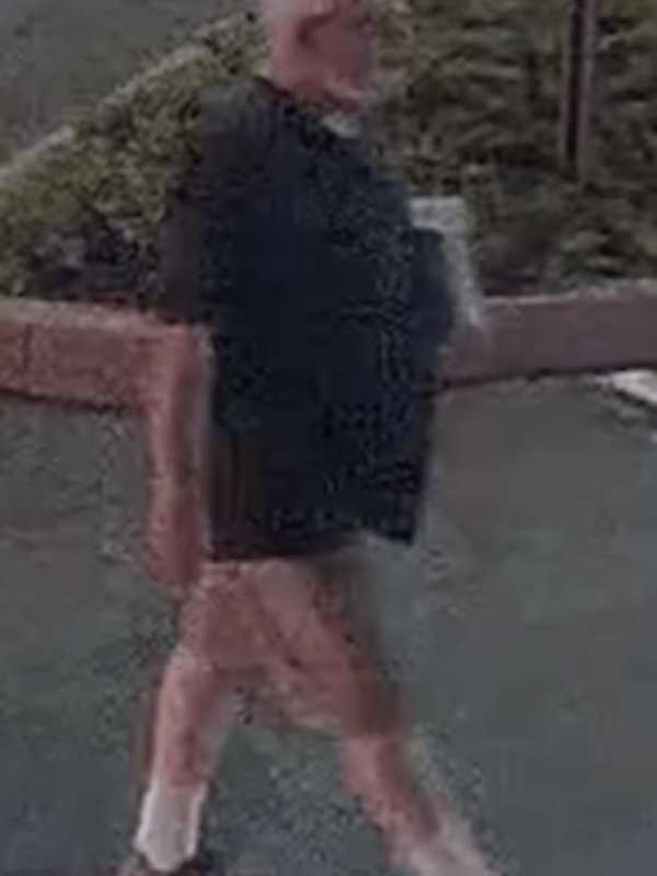 Norwalk Police Seek Man Connected To Anti-Muslim Flyers Left On Cars
