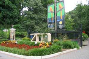 National Zoo Evacuated, Closed Due To Bomb Threat In DC (DEVELOPING)