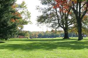 String Of Thefts From Vehicles Reported At Parks In New Canaan