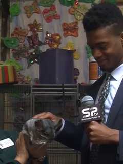 Scarsdale Public TV's 'Senior Options' Profiles Weinberg Nature Center 