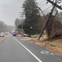 Driver Dies After Crashing Into Telephone Pole, Hitting Tree In Wellesley
