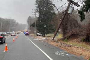 Driver Dies After Crashing Into Telephone Pole, Hitting Tree In Wellesley