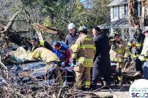 High Winds Knock Tree Onto Car In Upper Saddle River, Trap Female Driver From NYS