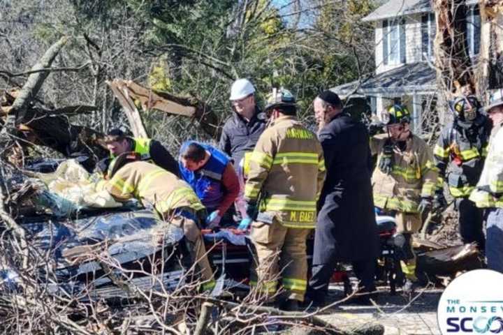 High Winds Knock Tree Onto Car In Upper Saddle River, Trap Female Driver From NYS