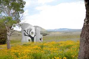 Chappaqua Resident Displays Artwork In Tarrytown
