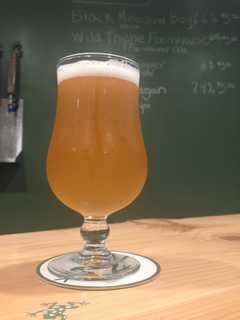 Florida Brewing Co. Finds Its Sweet Spot Teaming With Local Farmers