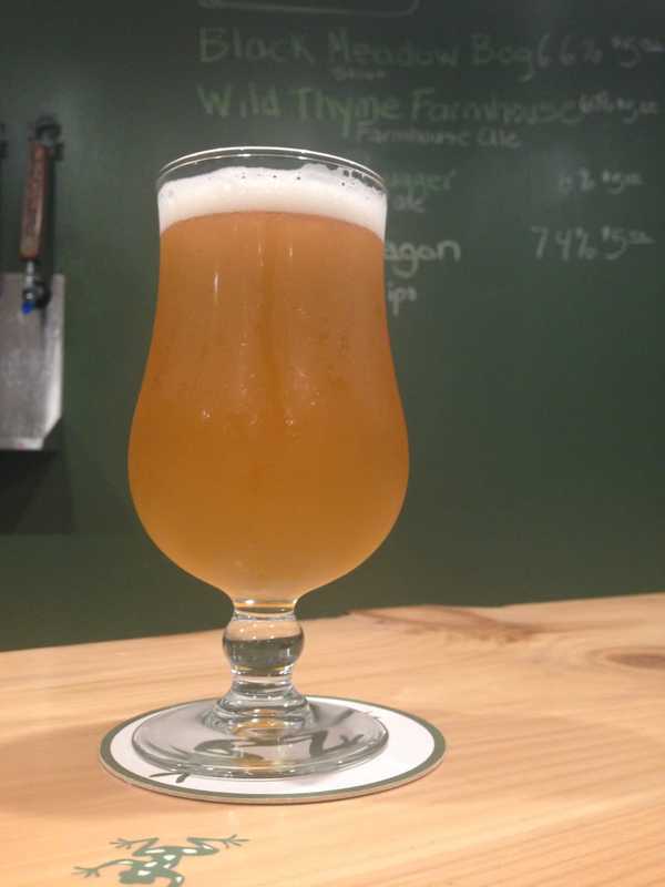 Florida Brewing Co. Finds Its Sweet Spot Teaming With Local Farmers