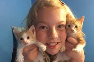 Ringwood’s ASPCA Kid Of The Year At It Again