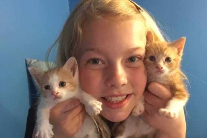 Ringwood’s ASPCA Kid Of The Year At It Again