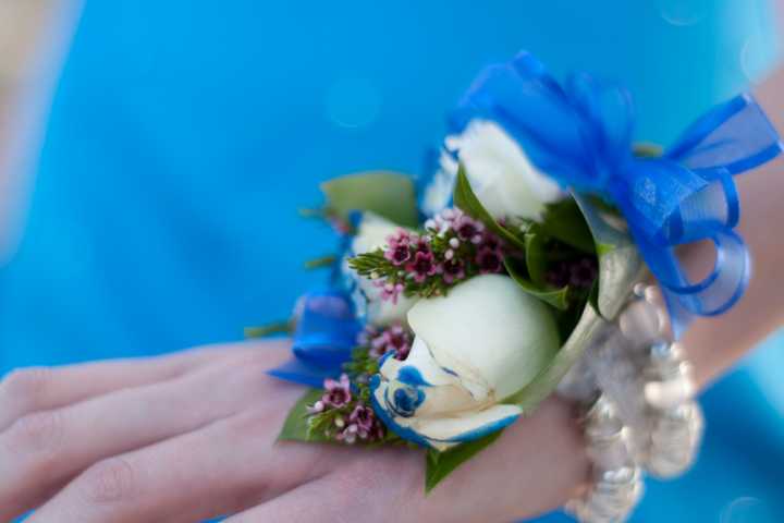 Prom Flower Purchases To Benefit Darien H.S. Save The Children Club