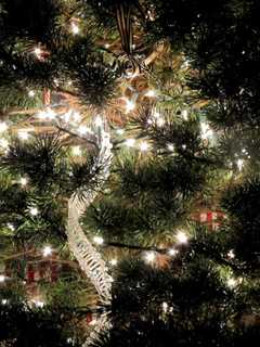 Join The Holiday Fun At Village of Tuckahoe Winterfest 