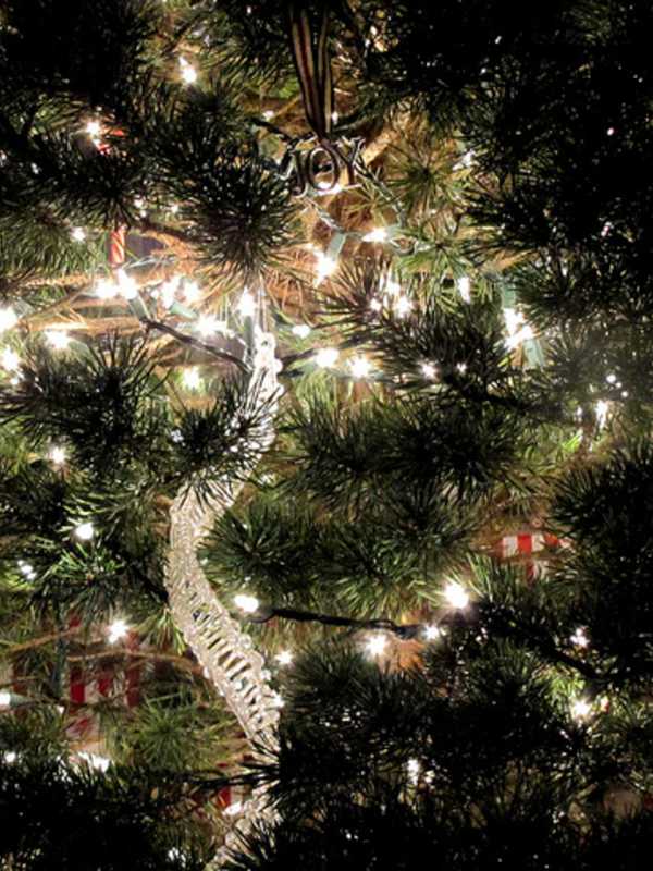 Join The Holiday Fun At Village of Tuckahoe Winterfest 
