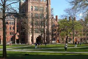 Best Value in Higher Ed: CT Colleges Where Your Tuition Actually Pays Off