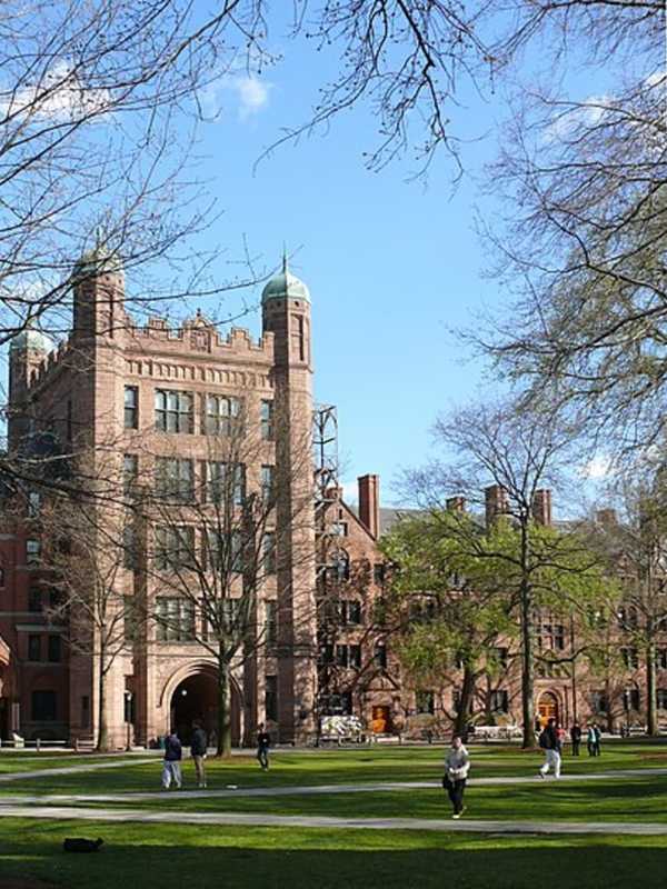 Yale University, Professor To Pay $1.5M To VA: Failed To Share Patent Royalties, Feds Say