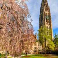New Forbes Rankings Reveal Best Value Colleges In Connecticut