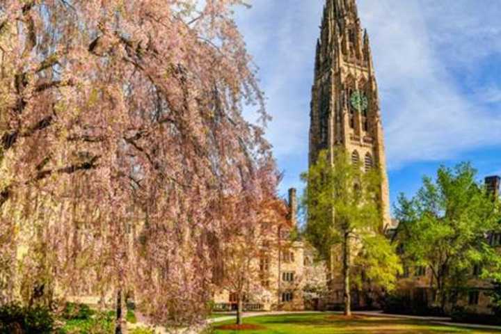 COVID-19: Yale To Require Students Get Vaccinated Before Fall Semester