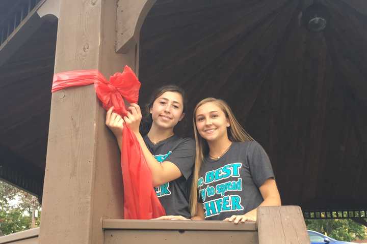 Red Ribbons Promote Drug-Free Lifestyle In Yorktown