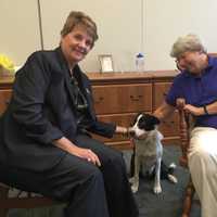 Holy Angels’ New Goose Herder Could Double As Demarest School's Therapy Dog