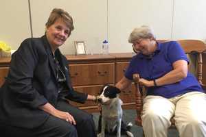 Holy Angels’ New Goose Herder Could Double As Demarest School's Therapy Dog