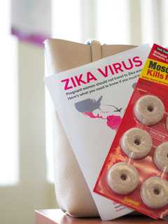 Gov. Cuomo Kicks Off Zika-Related Education Plan