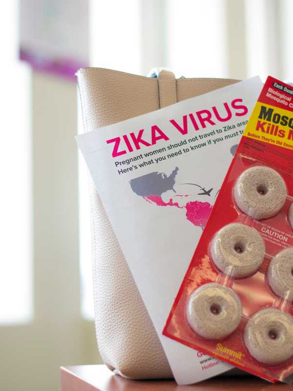 Gov. Cuomo Kicks Off Zika-Related Education Plan