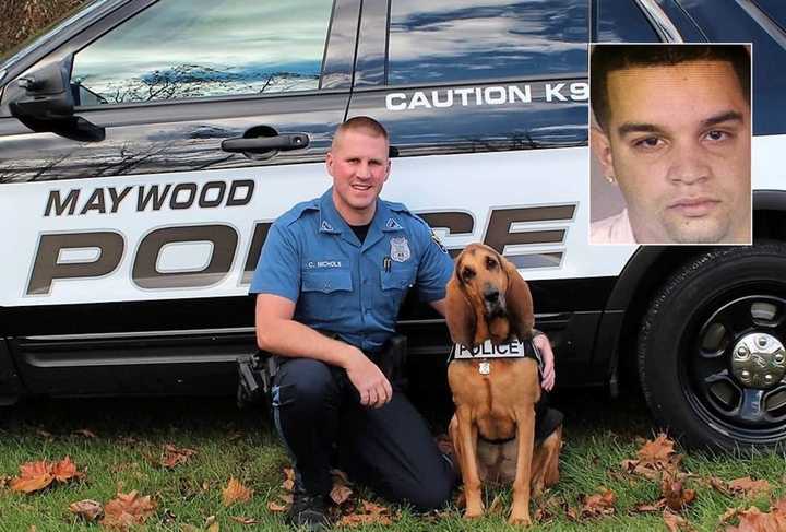 Zoey with Maywood K-9 Police Officer Chris Nichols