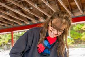 Ossining Event Builds Shelters For Feral Cats