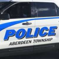 Erratic Driver Who Struck Jersey Shore Police Officer Charged With Attempted Murder: Prosecutor
