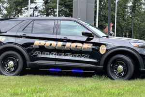 Man Stopped Moving Car, Threw Rocks In Attempted Atlantic County Carjacking: Police