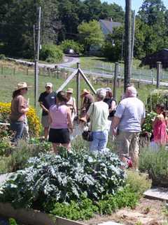 Yorktown's Hilltop Hanover Farm Teaches About Immunity-Building Plants