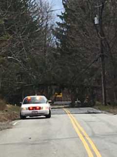 Falling Tree Takes Out Power Lines In Airmont
