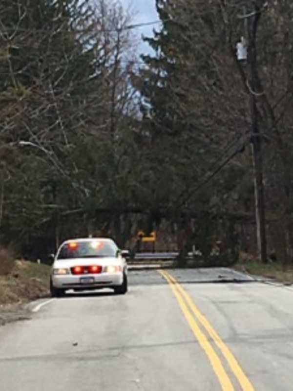 Falling Tree Takes Out Power Lines In Airmont