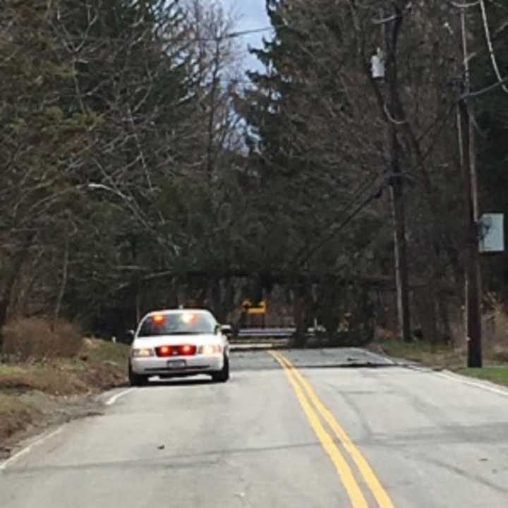 A falling tree took out electric lines in the Village of Airmont Thursday, March 17, causing power outages.