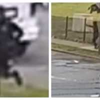 Video Shows Shooter Ambush Victim In Northeast Philly: Detectives