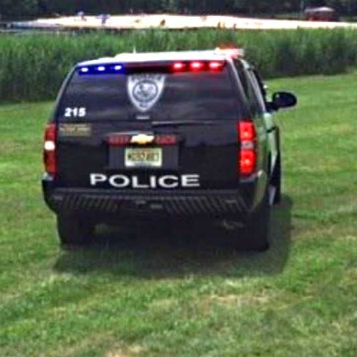 Allendale police