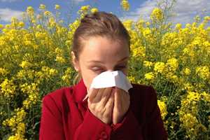 Your Allergies Are About To Get Way Worse; Bergen County Doc Has Tips