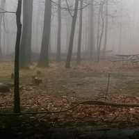 Missing Rockland Hikers Found, Firefighter Treated