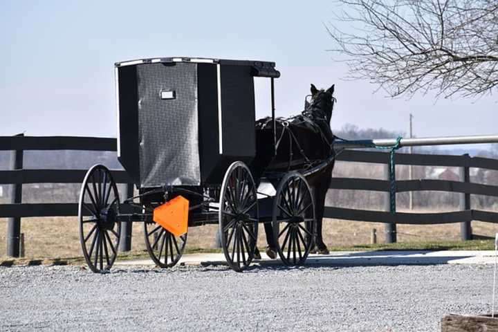 Police: Horse-Buggy Fatal Crash In Cumberland County Caused By Snap Chatting Driver On Drugs