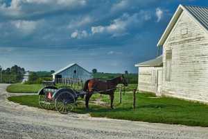 Amish Women Hospitalized, Horse Killed In Central PA Crash: Police