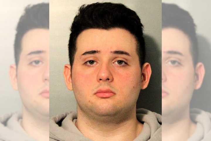 Andrew Laurendi, age 21, was arrested after he allegedly abused the dogs at the pet daycare center he worked at.