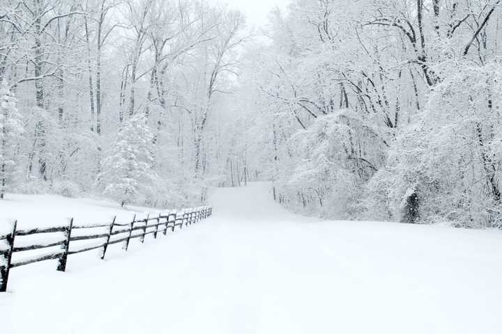 Thousands Without Power As Snow Blankets Parts Of Western Mass