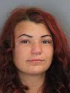 Two 21-Year-Olds Face Drug Charges After Taconic Stop In Pleasant Valley