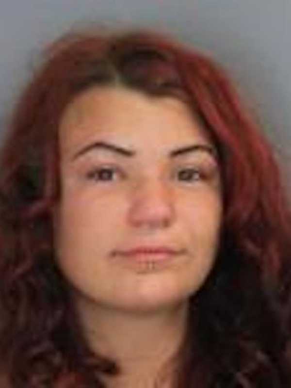 Two 21-Year-Olds Face Drug Charges After Taconic Stop In Pleasant Valley