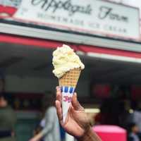 We All Scream For Ice Cream: The Scoop On Where To Find a Scoop (Or Two) in Essex County