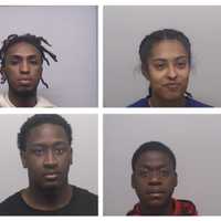 Four Charged, 22 Dogs Confiscated In Fairfield County Credit Card Fraud, Animal Neglect Case