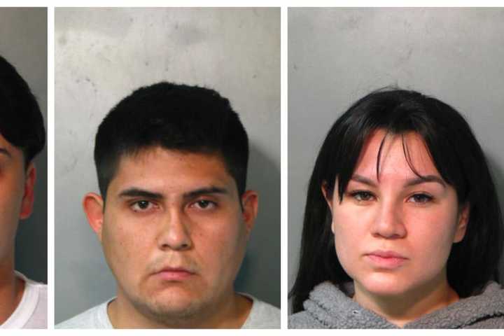 Trio Nabbed For Long Island Home Burglary, Police Say