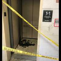 <p>Elevator arson.</p>